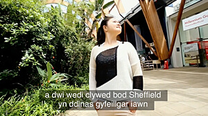 Welsh Subtitling